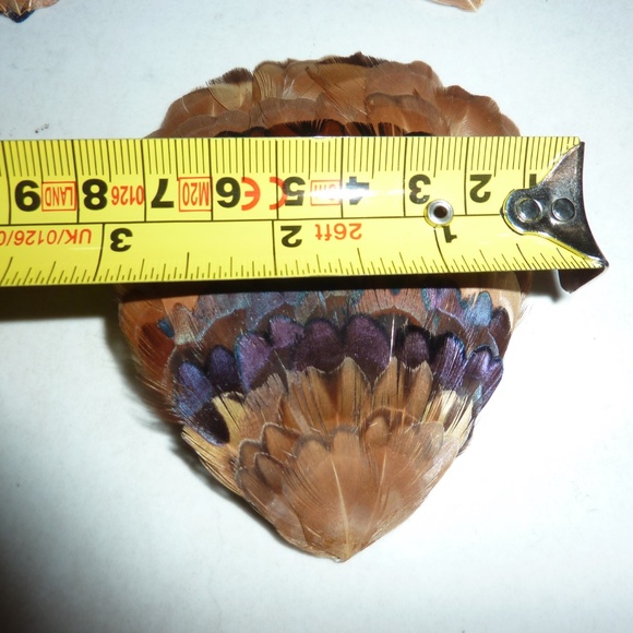 WESTERN GERMANY Vintage FEATHER BIRDS  Browns LOT OF 13  For Crafting Etc - Picture 6 of 8